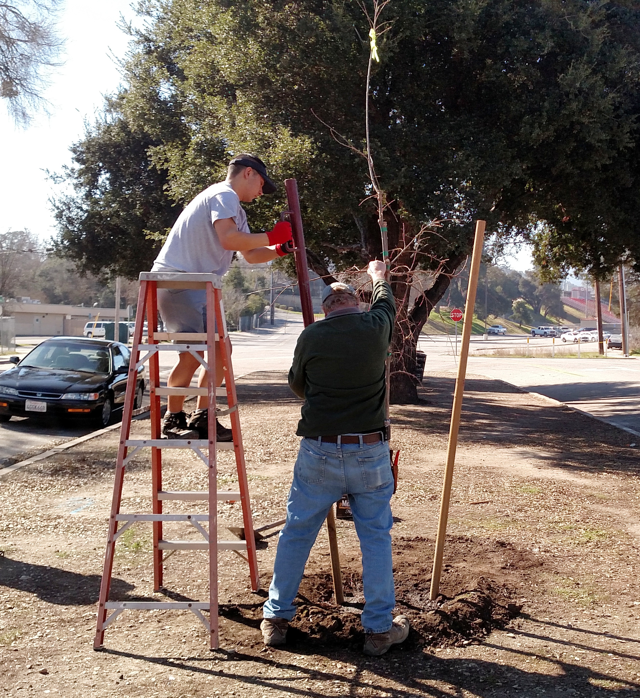 Christian and Cory installing the support stakes